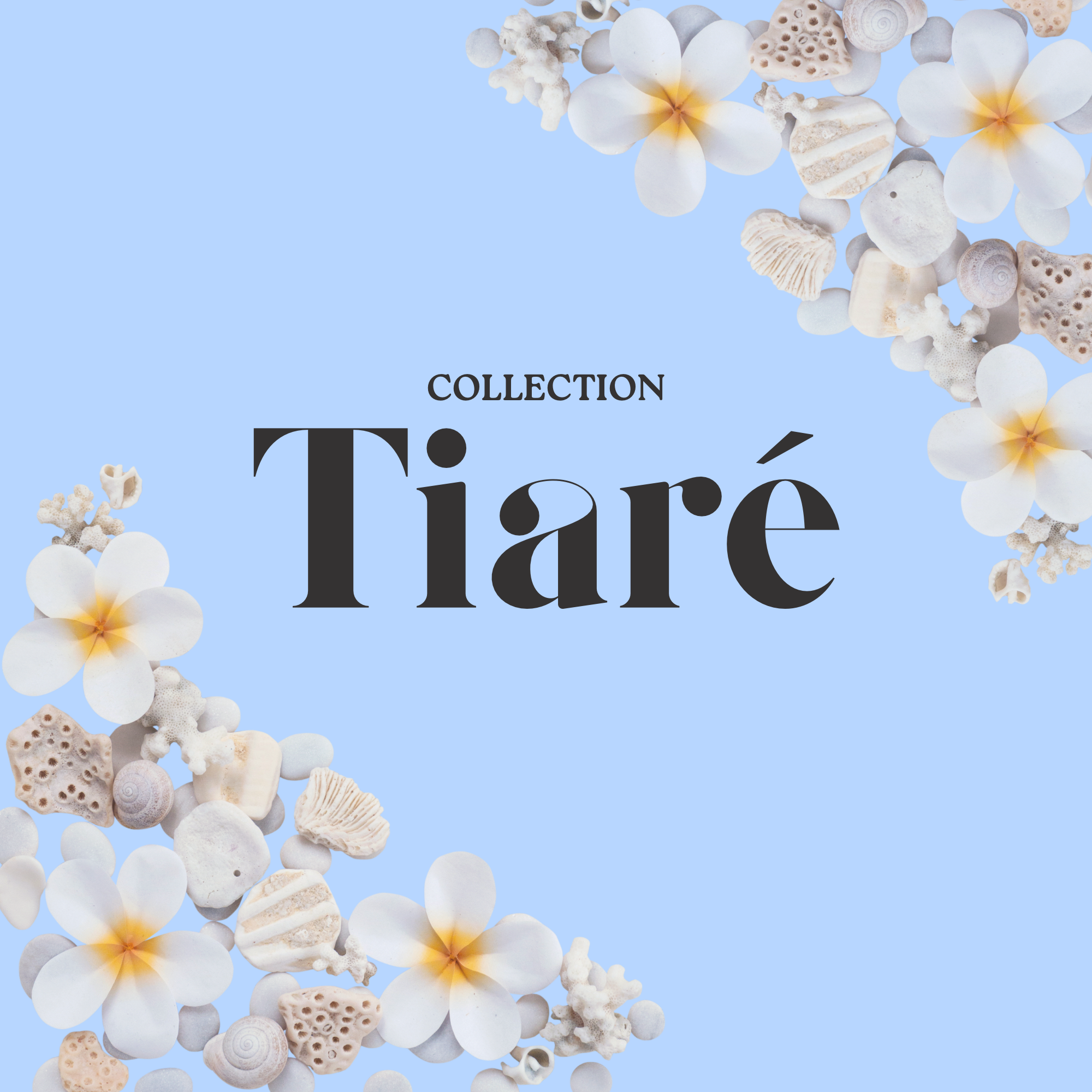 Pampilles collection Tiaré 🌺
