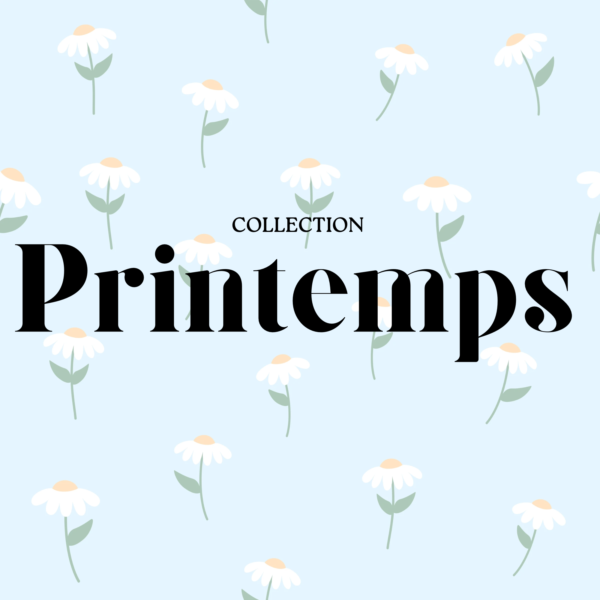 Pampilles collection Printemps 🌼
