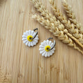 Pampilles Marguerites